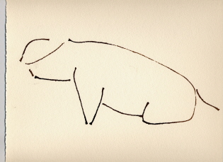 Pig 